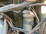 Engine with Fuel System
