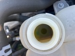 Engine with Radiator