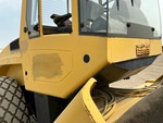 General Appearance with Paint