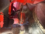 Drivetrain with Rear Axle Oscillating Pin