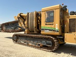 General Appearance with Paint