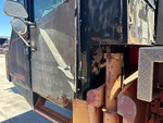 General Appearance with Paint