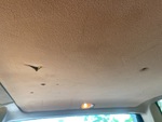 Interior with Head Liner