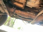 Engine with Exhaust System
