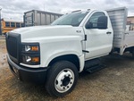 General Appearance with Pintura