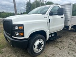 General Appearance with Pintura