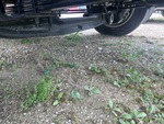 Motor with Oil Leaks