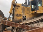 General Appearance with Paint