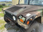 General Appearance with Paint
