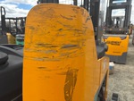 General Appearance with Paint