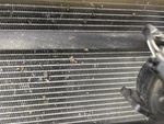 Motor with Radiador