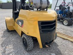 General Appearance with Paint