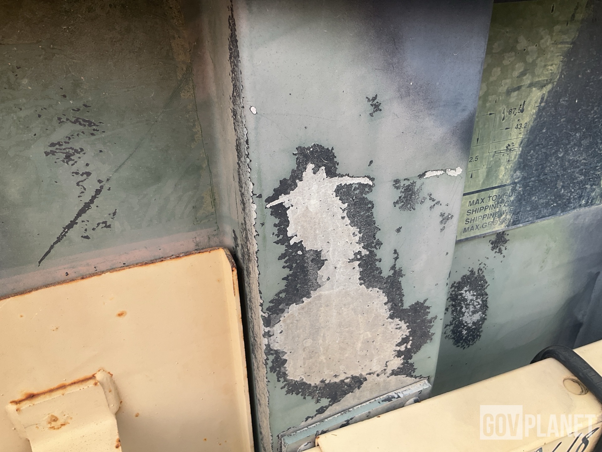 General Appearance with Paint