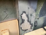 General Appearance with Paint