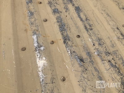 General Appearance with Paint