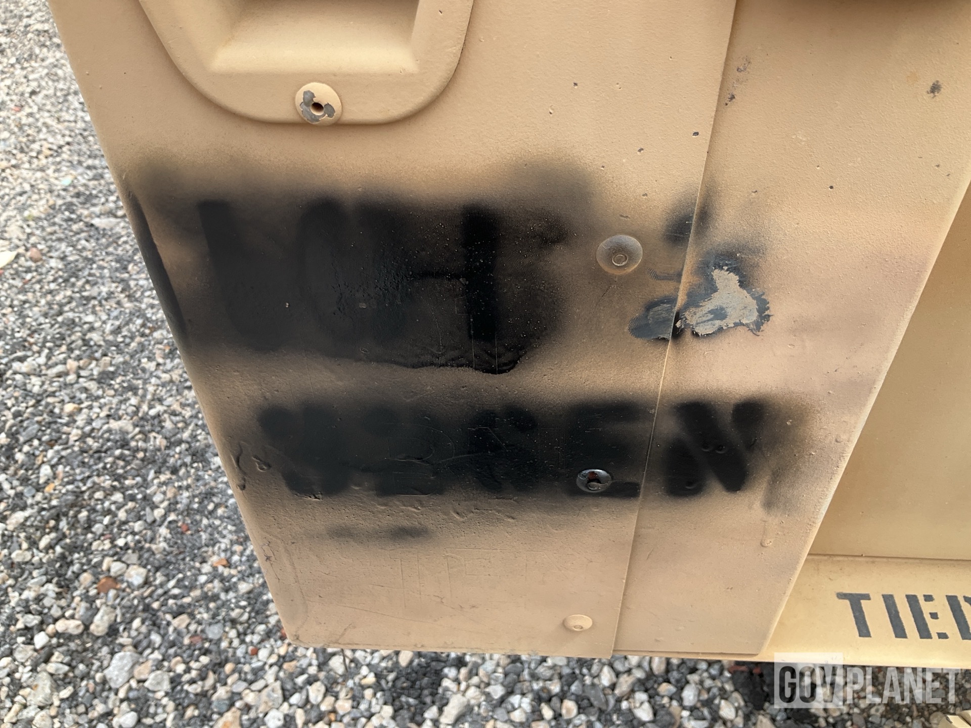General Appearance with Paint
