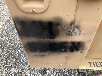 General Appearance with Paint