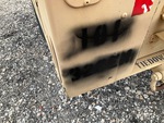 General Appearance with Paint