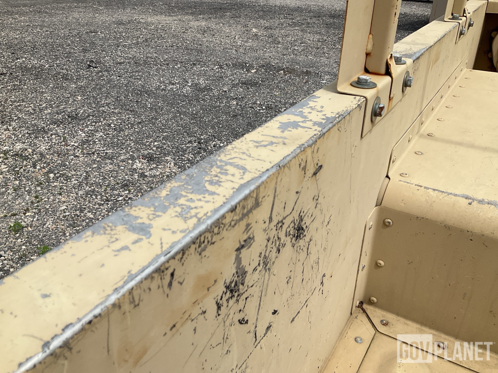 General Appearance with Paint