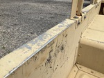 General Appearance with Paint