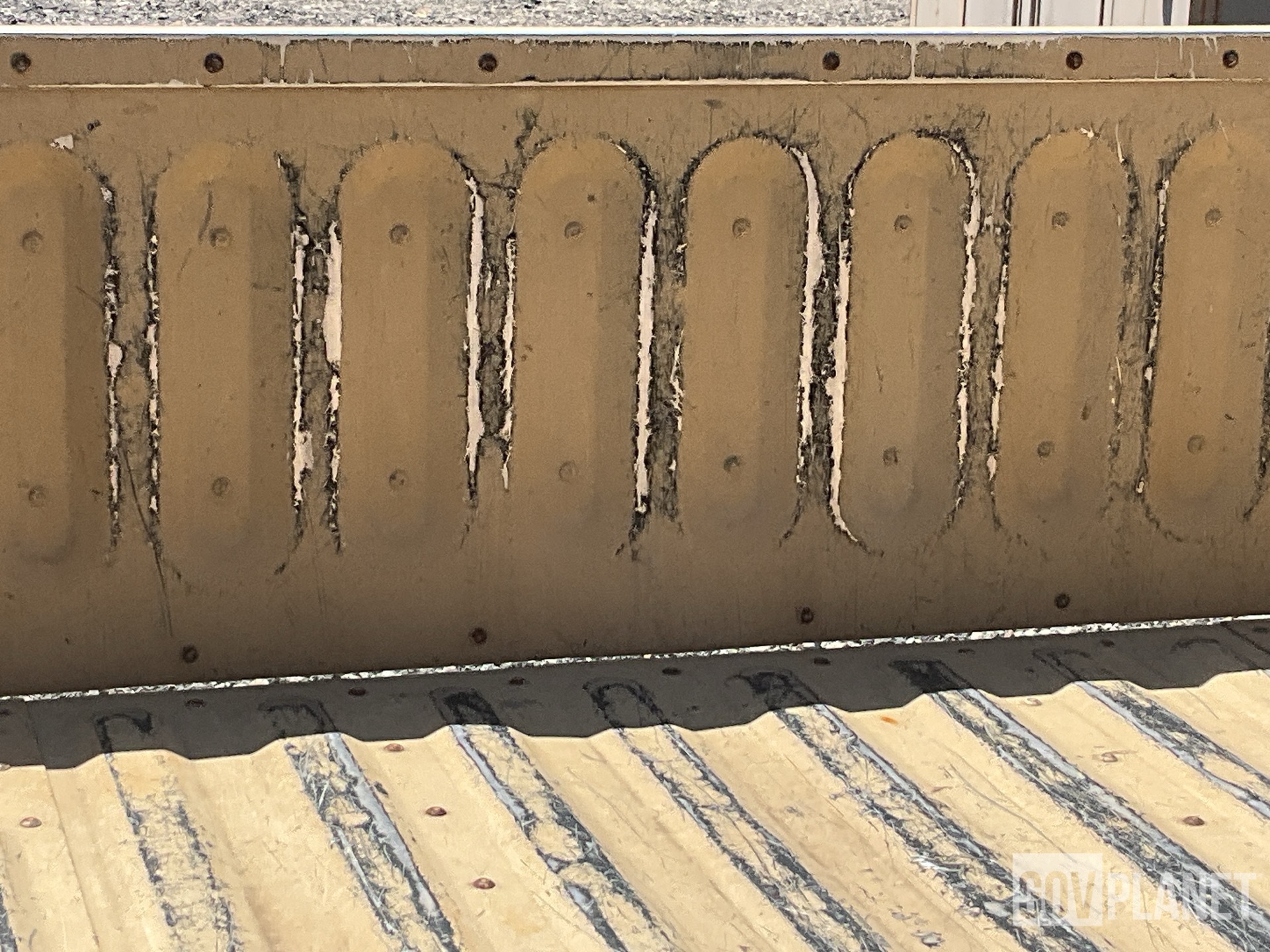 General Appearance with Paint