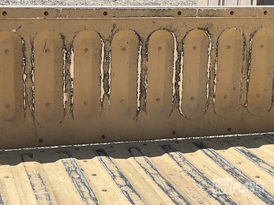 General Appearance with Paint