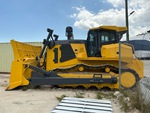 General Appearance with Paint