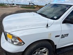 General Appearance with Peinture