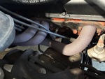 Engine with Exhaust System