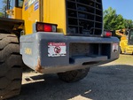 General Appearance with Paint