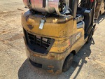 General Appearance with Paint