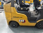 General Appearance with Paint