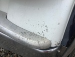 General Appearance with Pintura