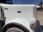 General Appearance with Pintura
