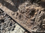Undercarriage with Right Track Rollers