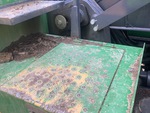 General Appearance with Steps/Ladders