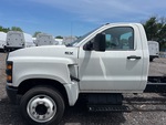 General Appearance with Pintura