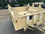 General Appearance with Paint