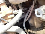 Moteur with