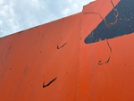 General Appearance with Paint