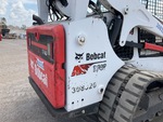 General Appearance with Paint