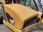 General Appearance with Paint