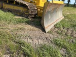General Appearance with Paint
