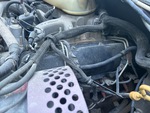 Engine with Emission Certification Label