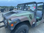 General Appearance with Paint