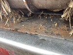 Crop Intake with Feed Floor Chain Wear Strips