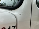 General Appearance with Pintura