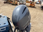 General Appearance with Paint