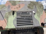 General Appearance with Paint