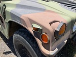 General Appearance with Paint
